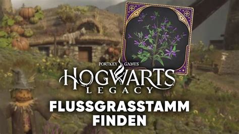 flussgras pflanzen hogwarts legacy|Hogwarts Legacy: Flussgras finden – So bekommt ihr。